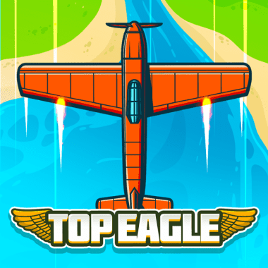 TopEagle Demo